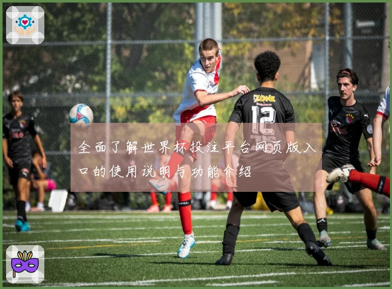全面了解世界杯投注平台网页版入口的使用说明与功能介绍