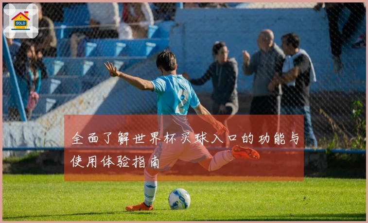 全面了解世界杯买球入口的功能与使用体验指南