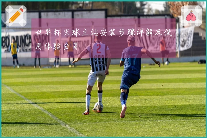 世界杯买球主站安装步骤详解及使用体验分享