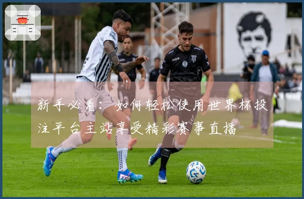 新手必看：如何轻松使用世界杯投注平台主站享受精彩赛事直播