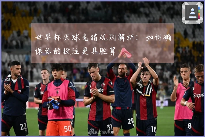 世界杯买球竞猜规则解析：如何确保你的投注更具胜算