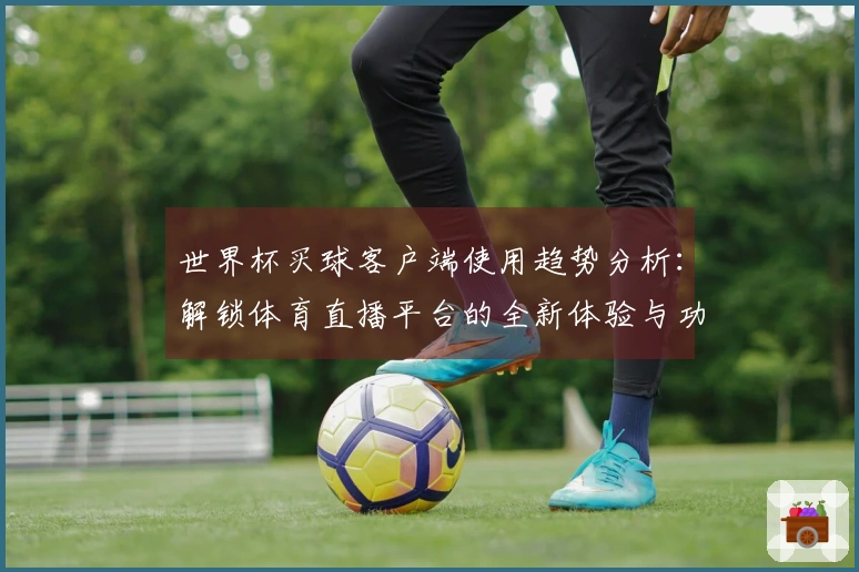 世界杯买球客户端使用趋势分析：解锁体育直播平台的全新体验与功能指南