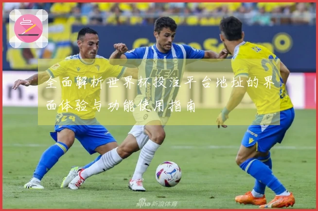 全面解析世界杯投注平台地址的界面体验与功能使用指南