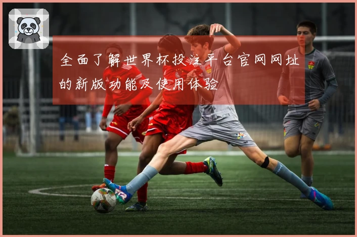 全面了解世界杯投注平台官网网址的新版功能及使用体验