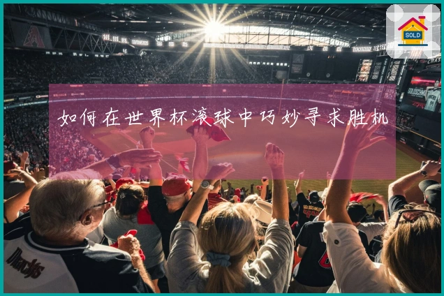 如何在世界杯滚球中巧妙寻求胜机