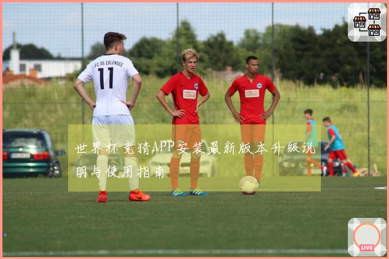 世界杯竞猜APP安装最新版本升级说明与使用指南