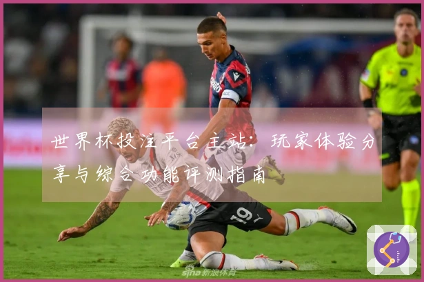 世界杯投注平台主站：玩家体验分享与综合功能评测指南