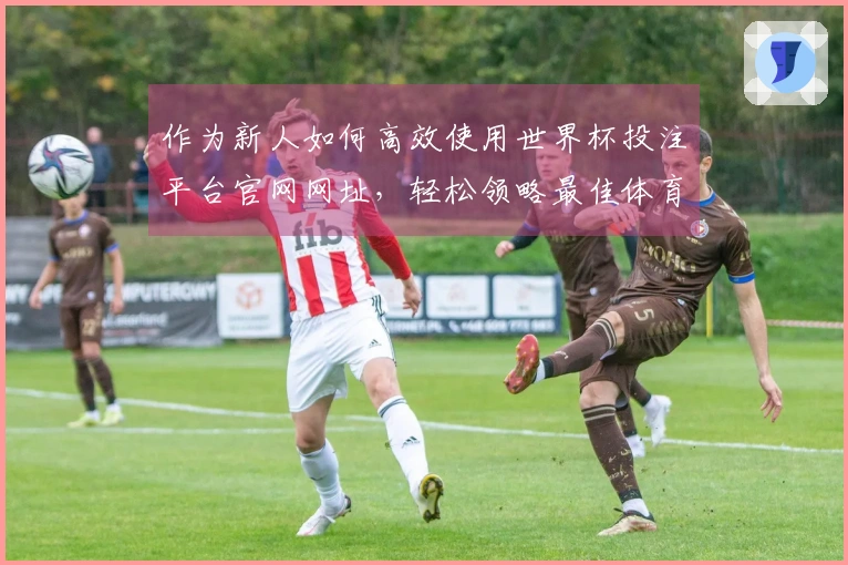 作为新人如何高效使用世界杯投注平台官网网址，轻松领略最佳体育直播体验