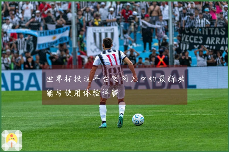 世界杯投注平台官网入口的最新功能与使用体验详解