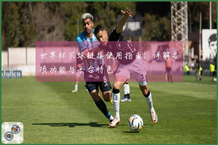 世界杯买球链接使用指南：详解各项功能与平台特色