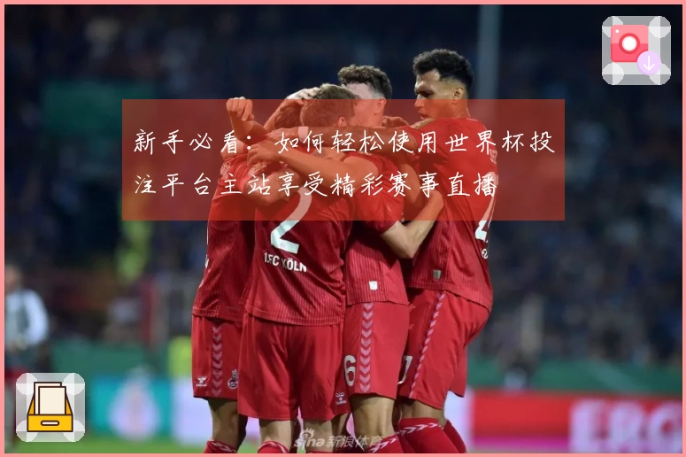 新手必看：如何轻松使用世界杯投注平台主站享受精彩赛事直播