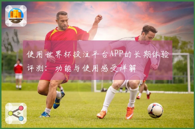 使用世界杯投注平台APP的长期体验评测：功能与使用感受详解