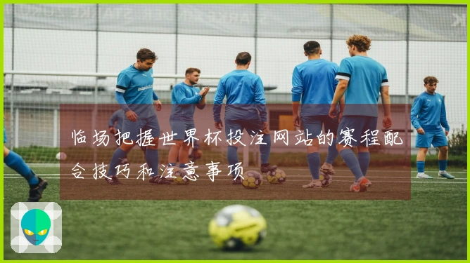 临场把握世界杯投注网站的赛程配合技巧和注意事项