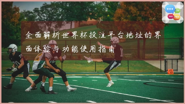 全面解析世界杯投注平台地址的界面体验与功能使用指南