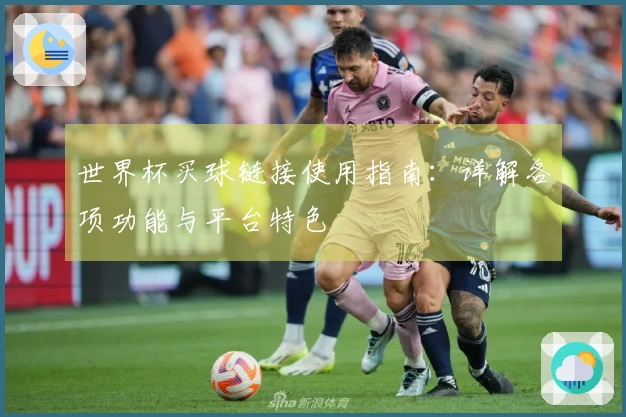 世界杯买球链接使用指南：详解各项功能与平台特色